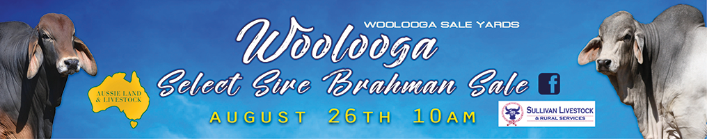 Australian Brahman Breeders Association