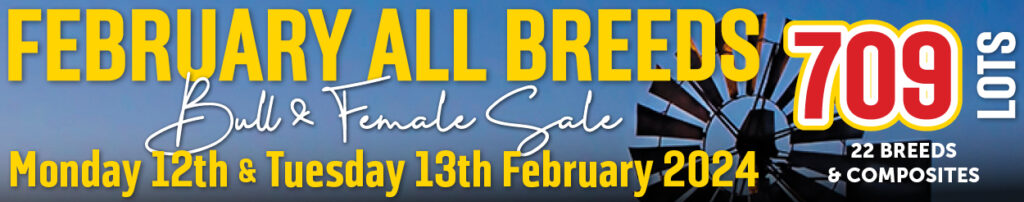 February All Breeds Bull and Female Sale. 12-13 February 2024.