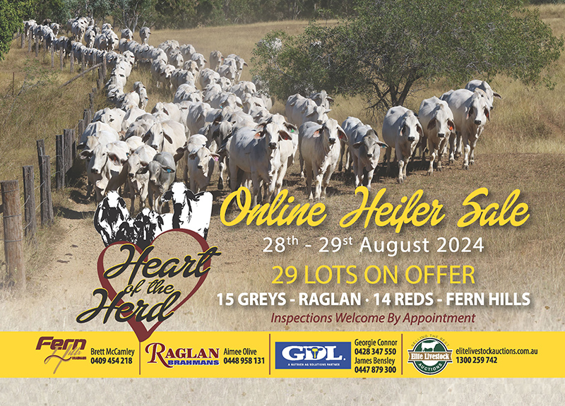 Heart of the Herd Sale Flyer