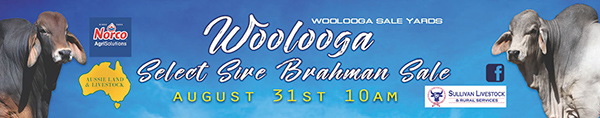 Woolooga Sale catalogue  web banner