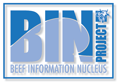 BIN Project Logo