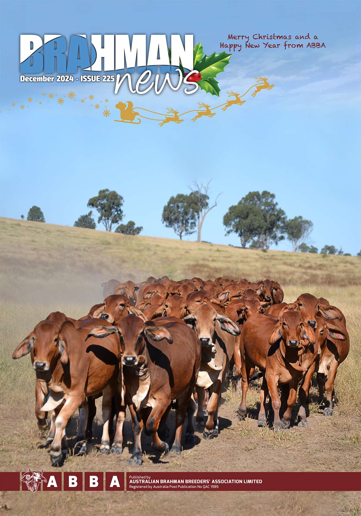 Brahman News December 2024