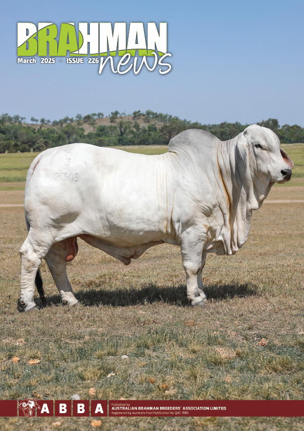 Brahman News March 2025