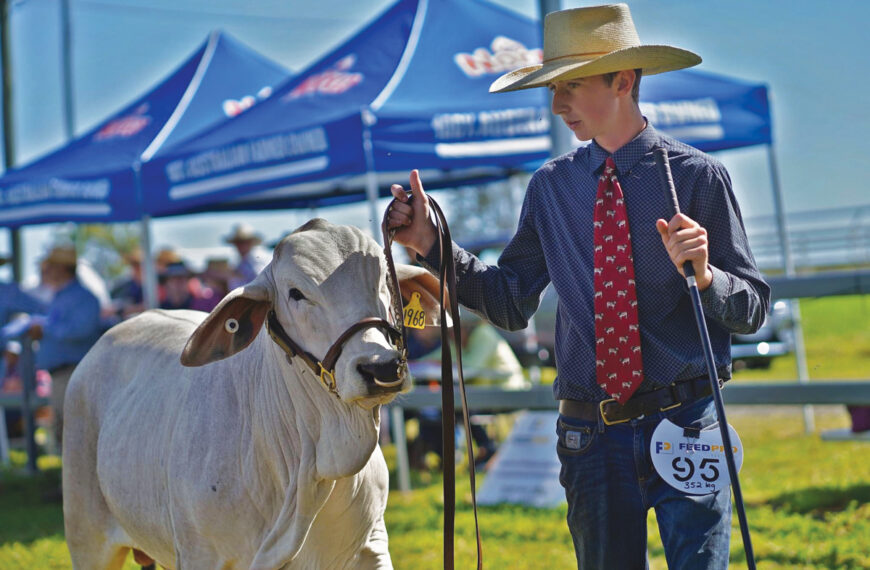 Daniel’s drive and passion for breed evident from young age