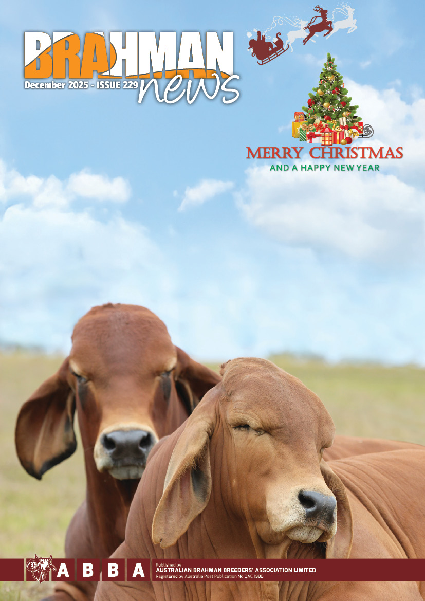 Brahman News 2025 December Issue cover