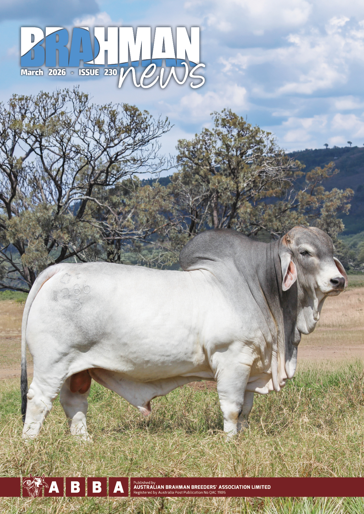Brahman News 2026 March Issue 230