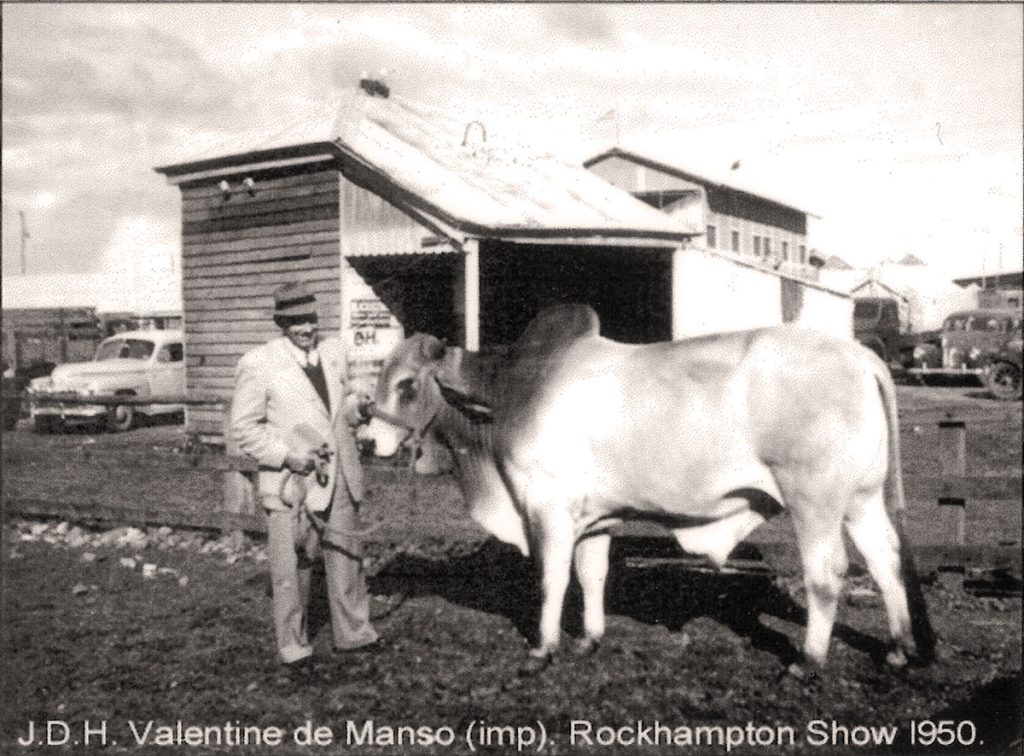 1950 JDH Valentine De Manso Rocky Show