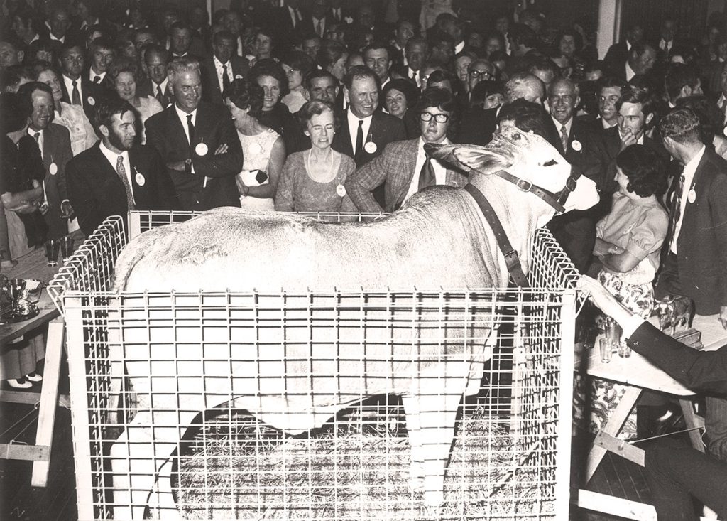 1973 Cherokee Miss Brahma Scotia House Ballroom