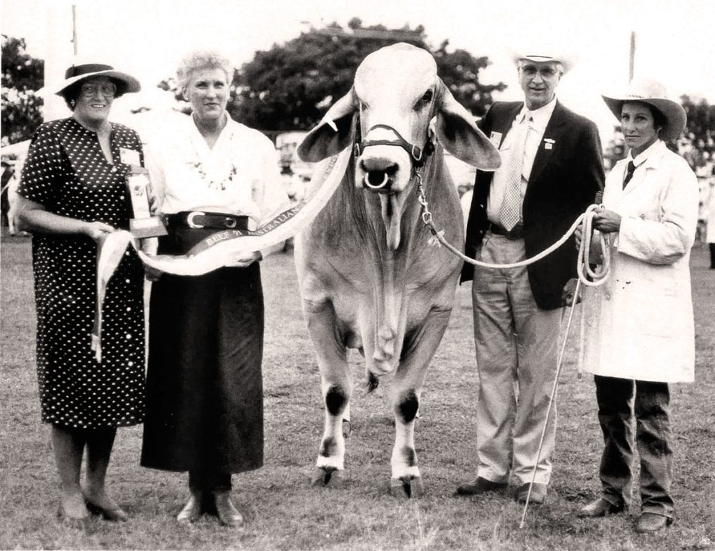 1991_BEEF Interbreed Champion_Apis Creek Godfrey