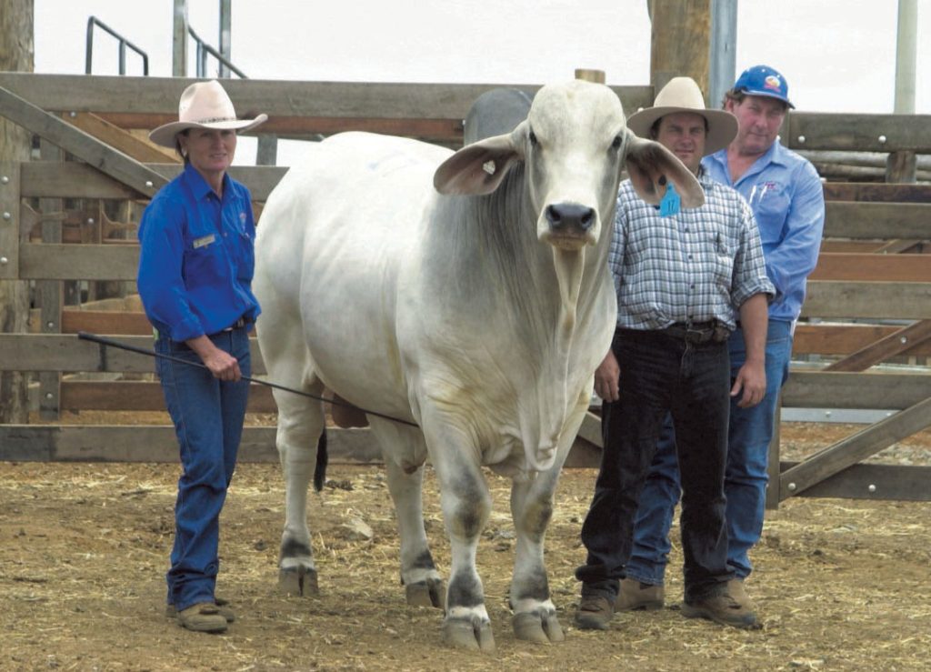 2006 Lancefield Burton Manso