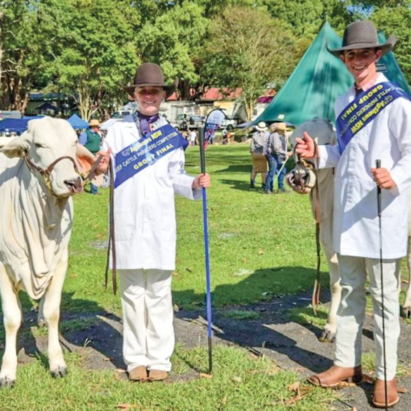Ag Shows NSW Beef Cattle Paraders