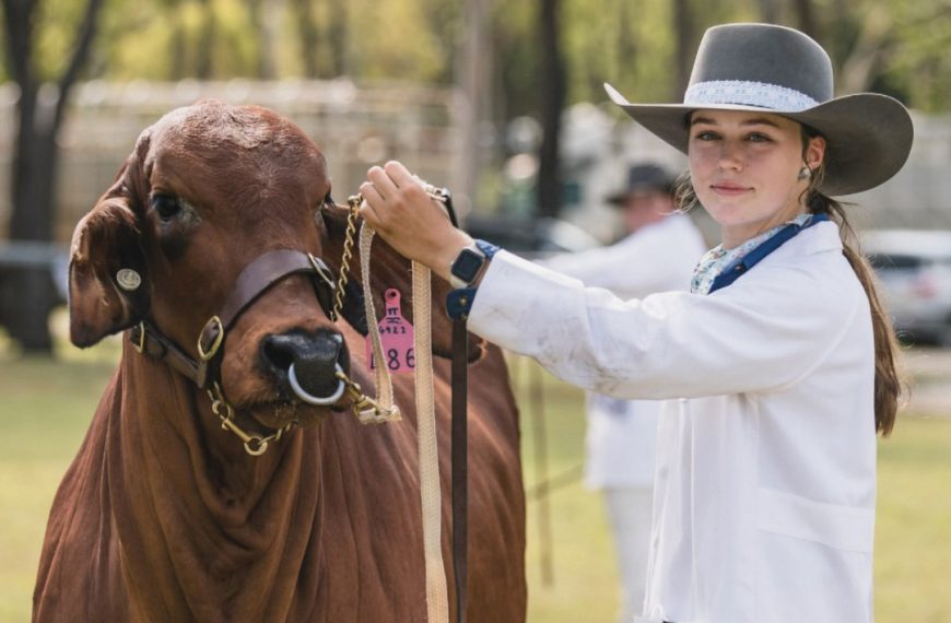 Ruby’s love of Brahmans since birth