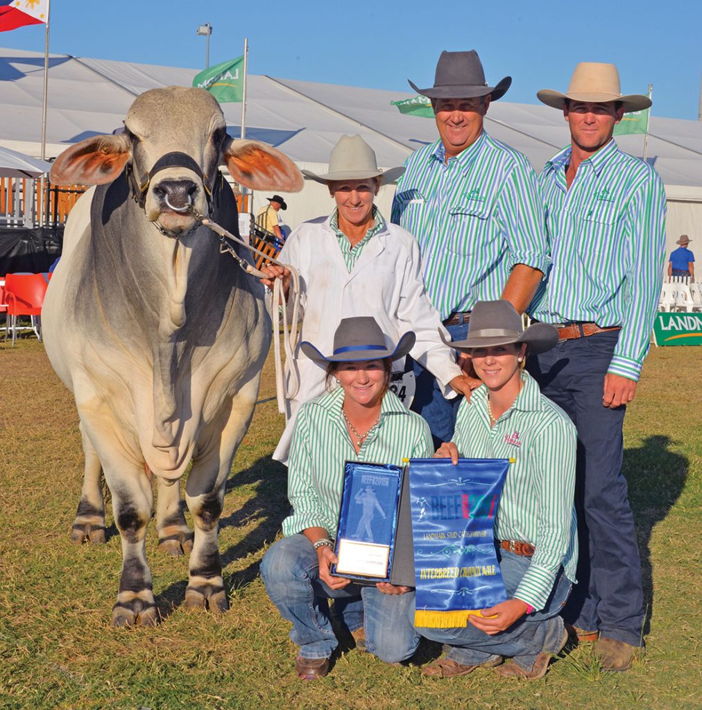 QCL_Raglan Interbreed Champion