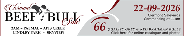 Clermont Beef Bull Sale banner
